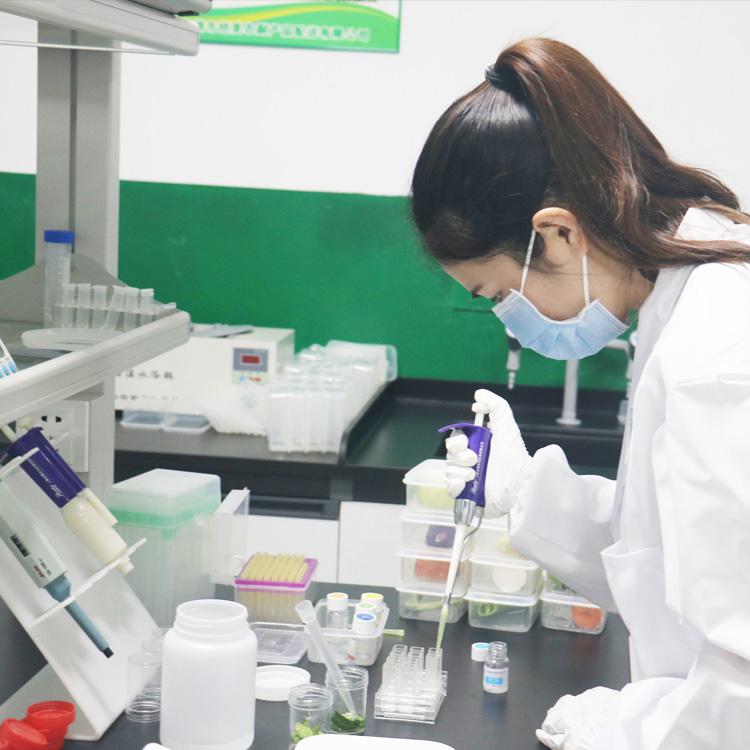 食品安全檢測04