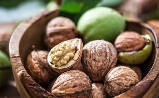 為什么核桃被稱為“長壽果”？東莞生鮮食材配送中心告訴你