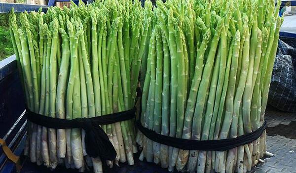 1760175454.jpg tupian_lusun5.jpg