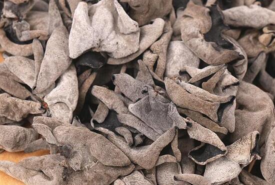 1760259854.jpg tupian_muer1.jpg