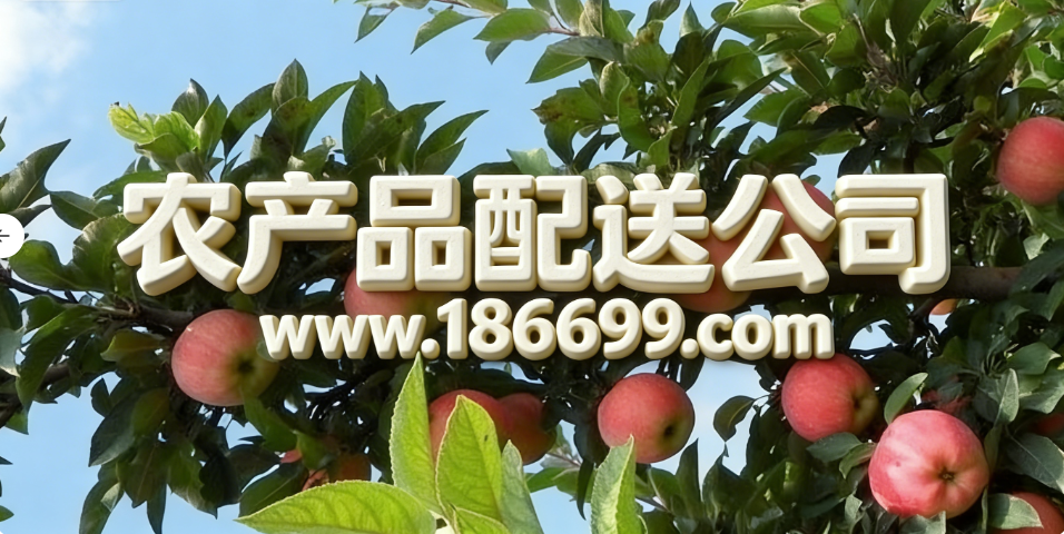 1765630782.png 微信圖片_20251213204600_29_967.png