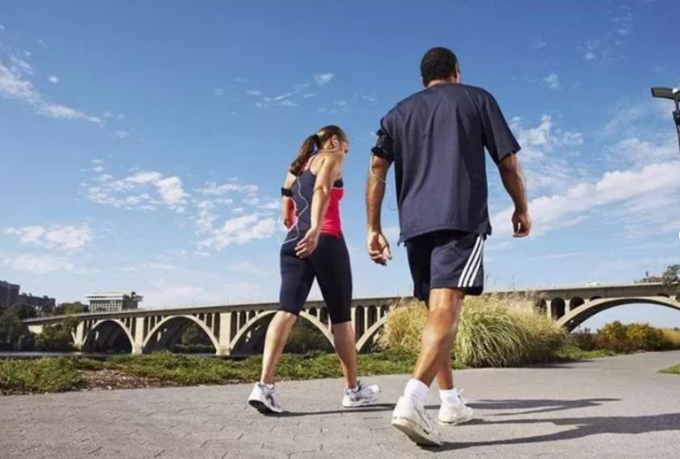 1767178280.png d686e983-580f-434a-beda-335333236299.png