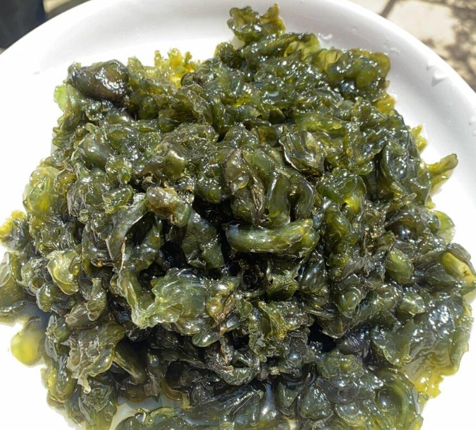 地皮菜：雨后才有的特產(chǎn)，吃的是山野的饋贈